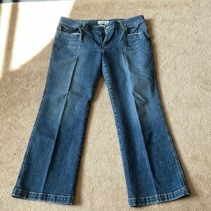 Maurice’s Sophie Boot distressed women’s bluejeans, sz. 15/16 Short!  Like new!